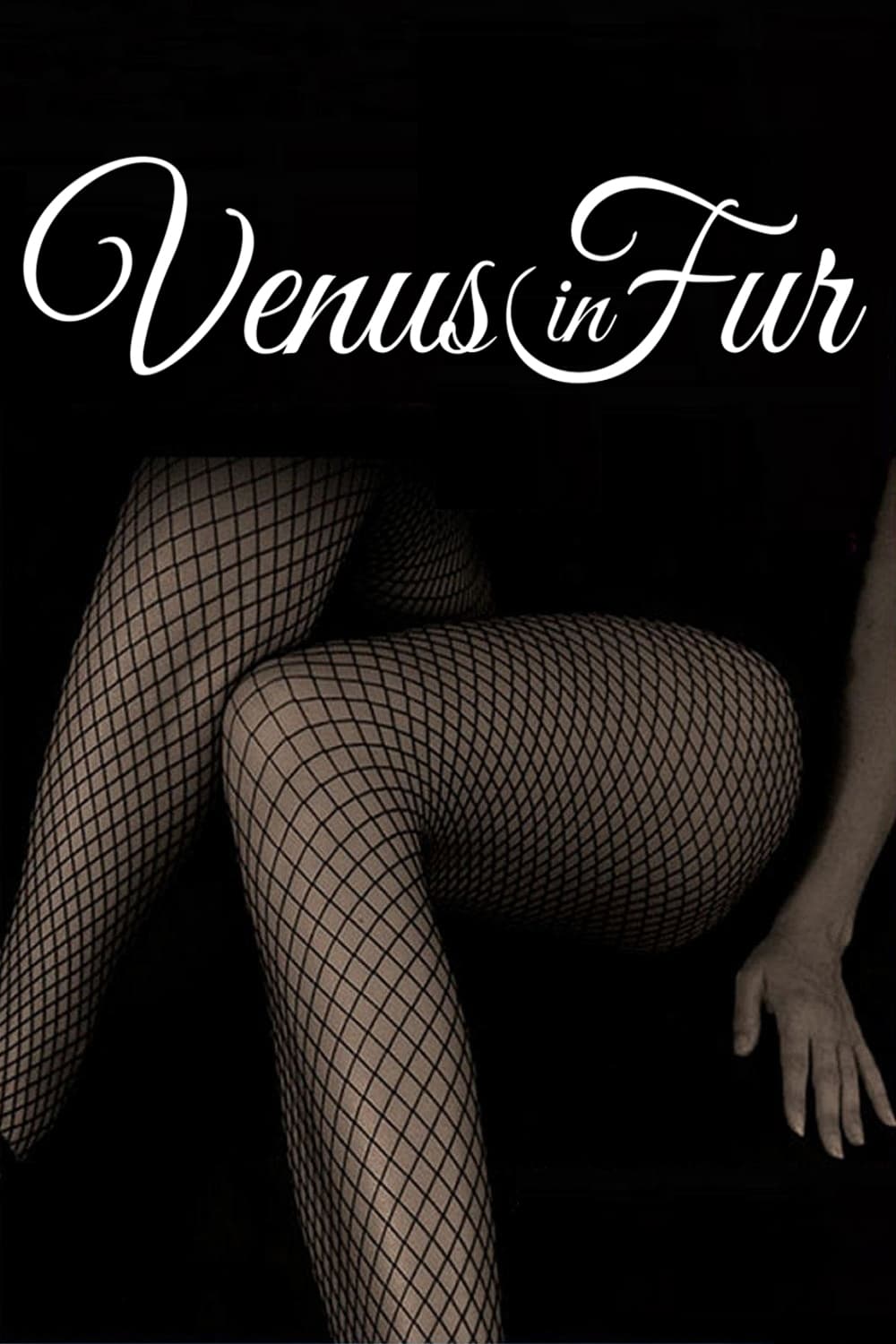 постер Венера в мехах